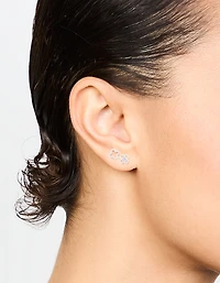 Sterling Silver Cubic Zirconia Flower Stud Earrings 2-Pack