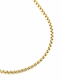 Waterproof Gold Plated Stainless Steel Round Box Chain Short Necklace