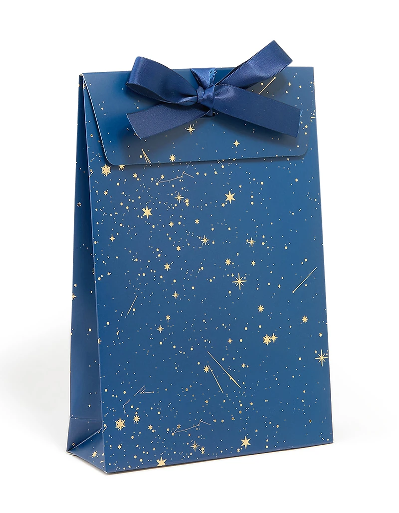Navy Celestial Gift Bag