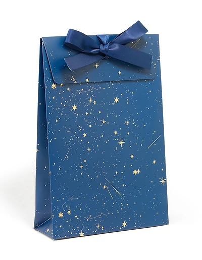 Navy Celestial Gift Bag