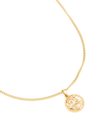 Collier imperméable en acier inoxydable plaqué or avec un cercle du Capricorne