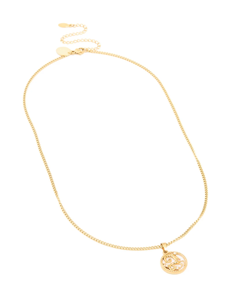 Collier imperméable en acier inoxydable plaqué or avec un cercle du Capricorne