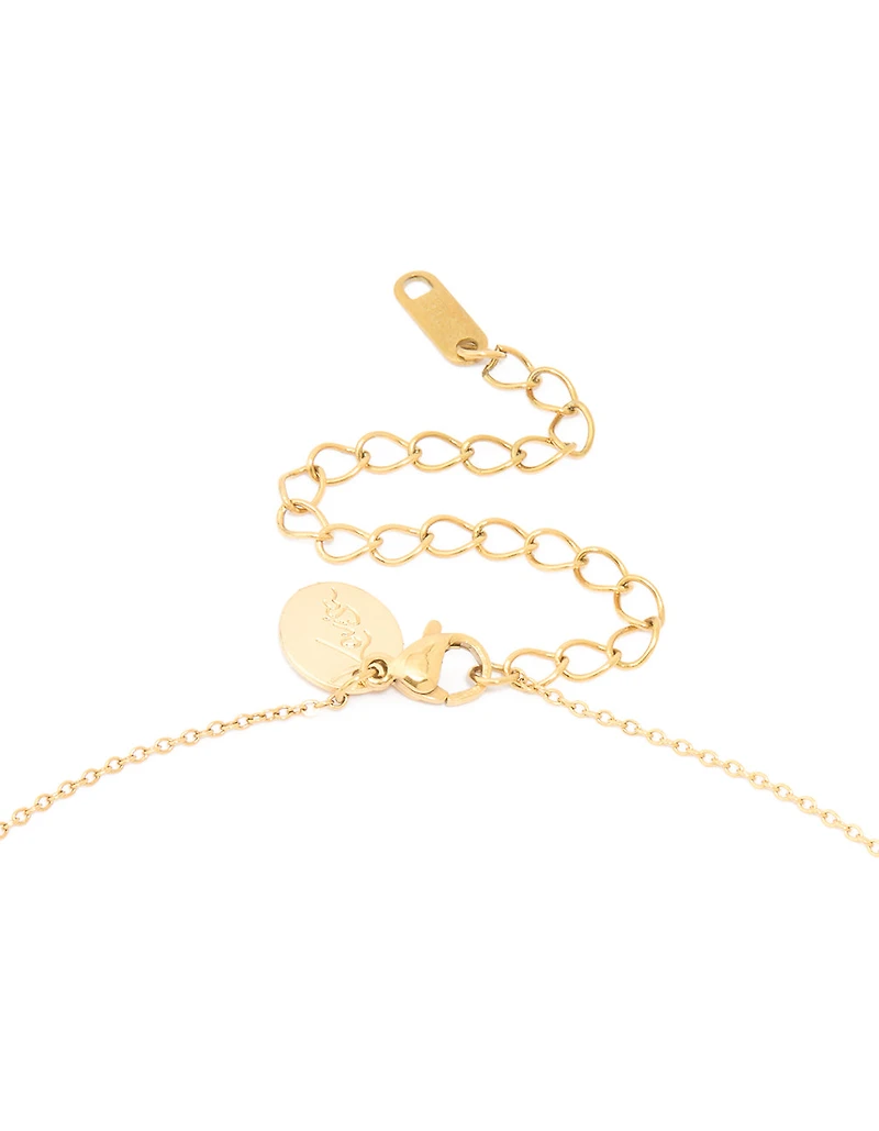 Collier inoxydable imperméable plaqué or en zircone et capricorne