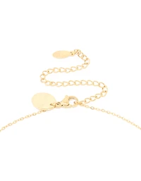 Collier cubique imperméable en acier inoxydable plaqué or en zircone Poissons