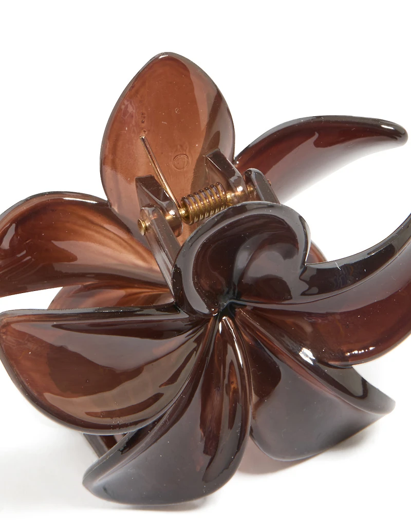 Brown Solid Claw Clip