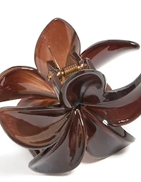 Brown Solid Claw Clip