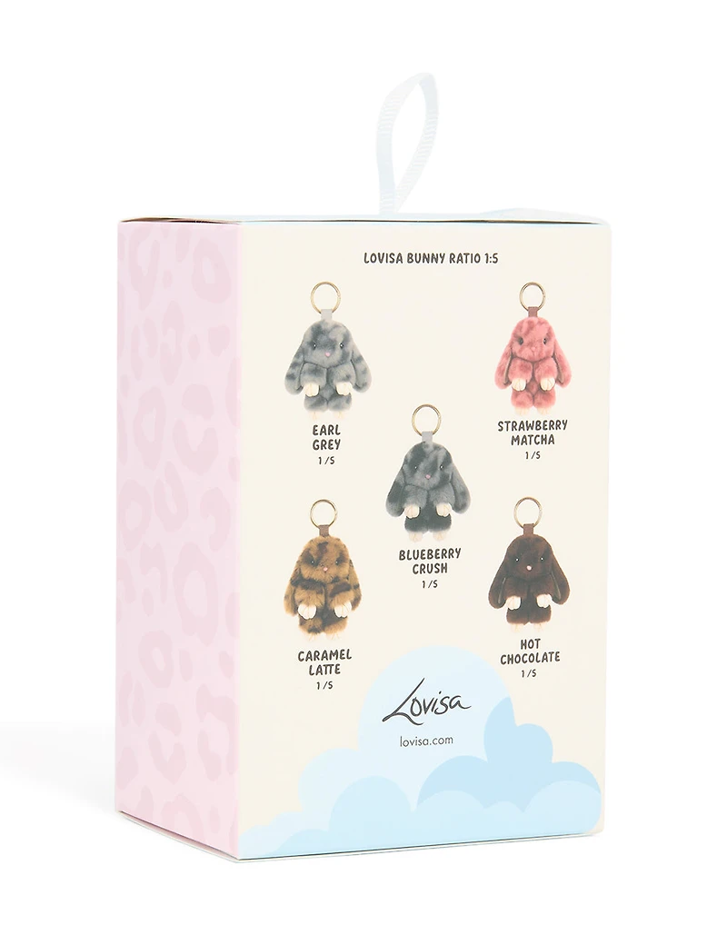 Boîte aveugle Bunny 1