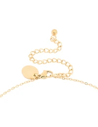 Collier étanche en acier inoxydable plaqué or en aster de naissance en septembre