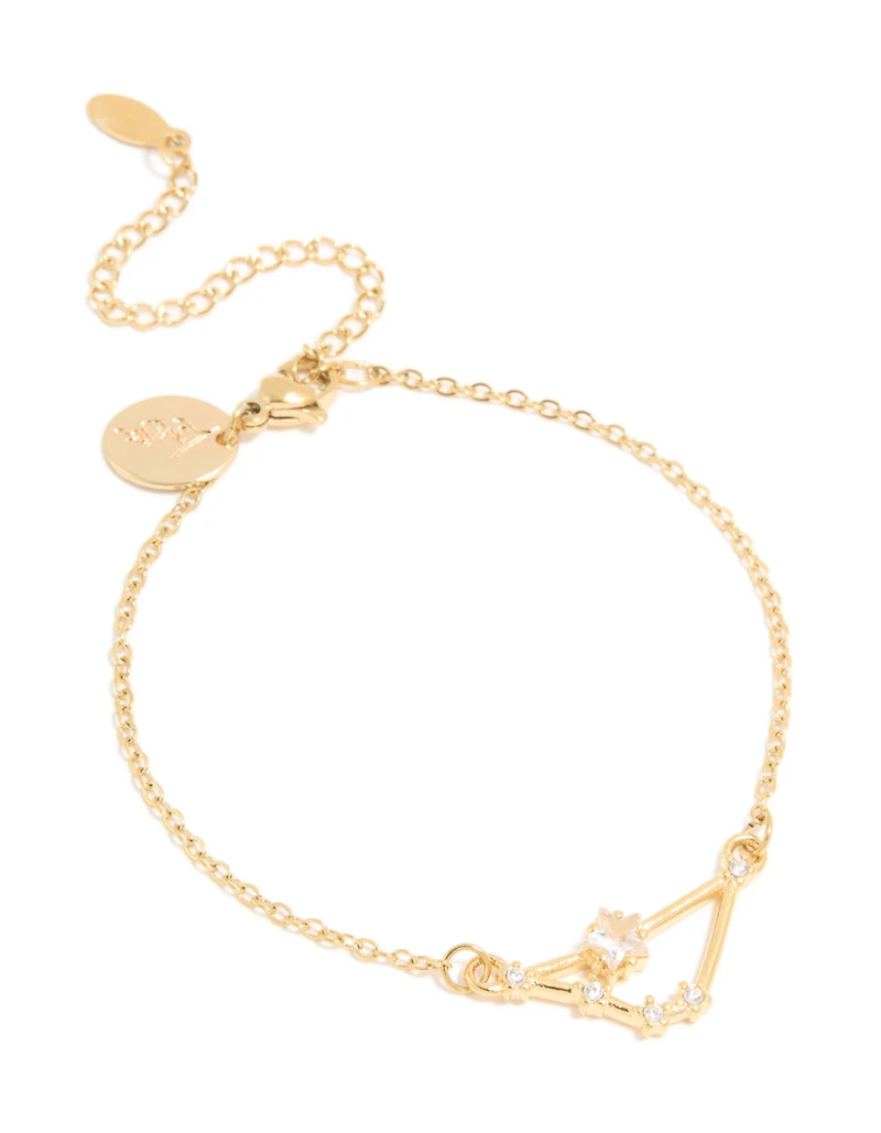 Bracelet du signe du zodiaque en zircone en Capricorne en acier inoxydable en acier inoxydable imperméable