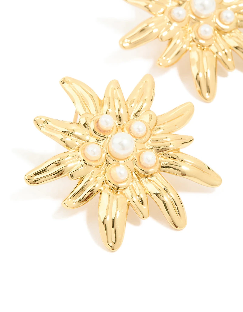 Boucles d’oreilles étanchées en acier inoxydable en acier inoxydable d’eau douce en forme de boucles d’oreilles en forme d’oursin