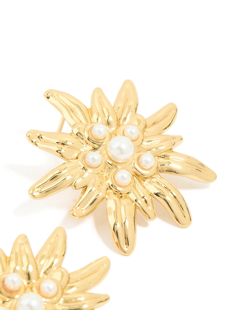 Boucles d’oreilles étanchées en acier inoxydable en acier inoxydable d’eau douce en forme de boucles d’oreilles en forme d’oursin