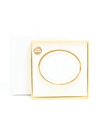 Bracelet cubique en zircone en acier inoxydable plaqué or imperméable