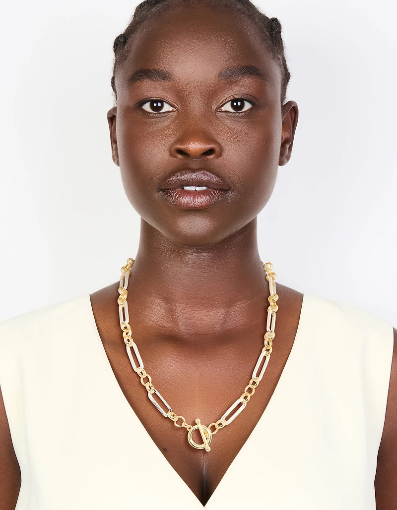 Mixed Metal Plated Link Chain Necklace