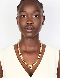 Mixed Metal Plated Link Chain Necklace