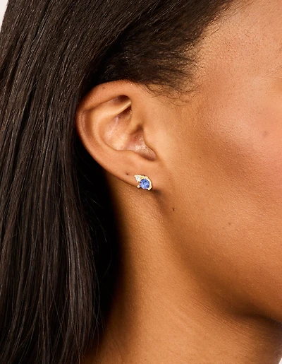 Boucles d’oreilles en duo pierres de naissance en zircone cubique en acier inoxydable plaquées or imperméables en décembre