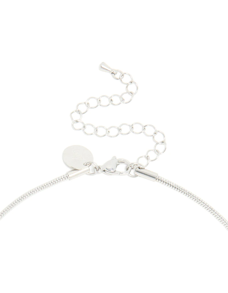 Waterproof Stainless Steel Short Snake Chain Necklace