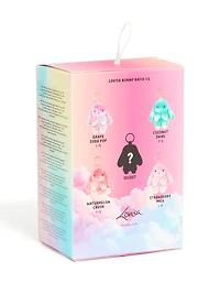 Boîte aveugle parfumée pour lapins 2