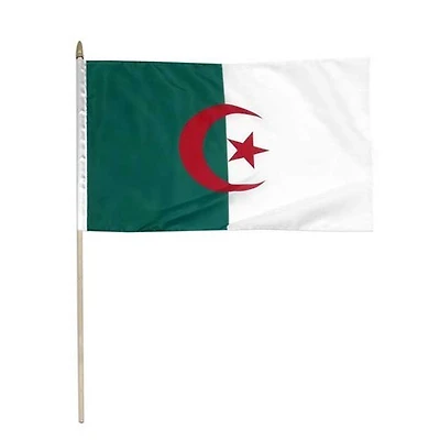 Country Stick Flag 12x18 Algeria