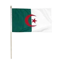 Country Stick Flag 12x18 Algeria