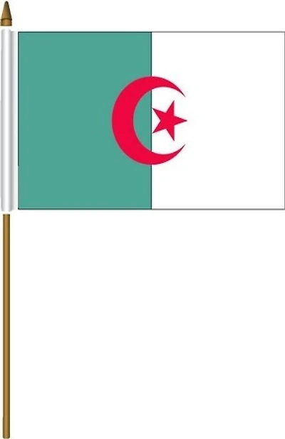 Country Mini-Stick Flag Algeria