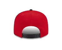 NHL Hat 950 Basic Snapback Two Tone Red Wings