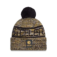 NFL Knit Hat Sideline 2025 Color Wave Steelers