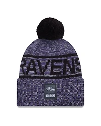 NFL Knit Hat Sideline 2025 Color Wave Ravens