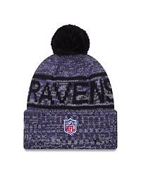 NFL Knit Hat Sideline 2025 Color Wave Ravens