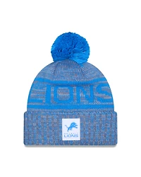 NFL Knit Hat Sideline 2025 Gray Color Wave Lions