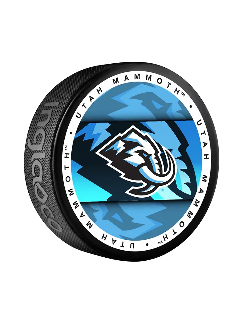 NHL Puck Souvenir Collector Medallion Mammoth