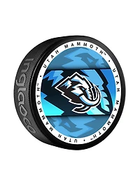 NHL Puck Souvenir Collector Medallion Mammoth