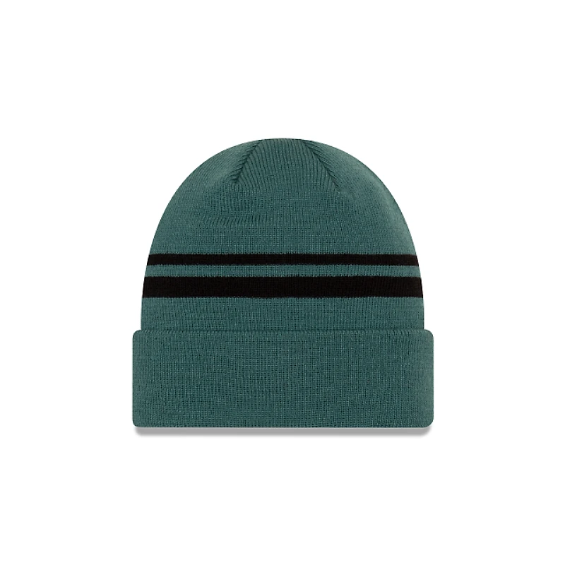 NFL Knit Hat Basic Cuff Eagles