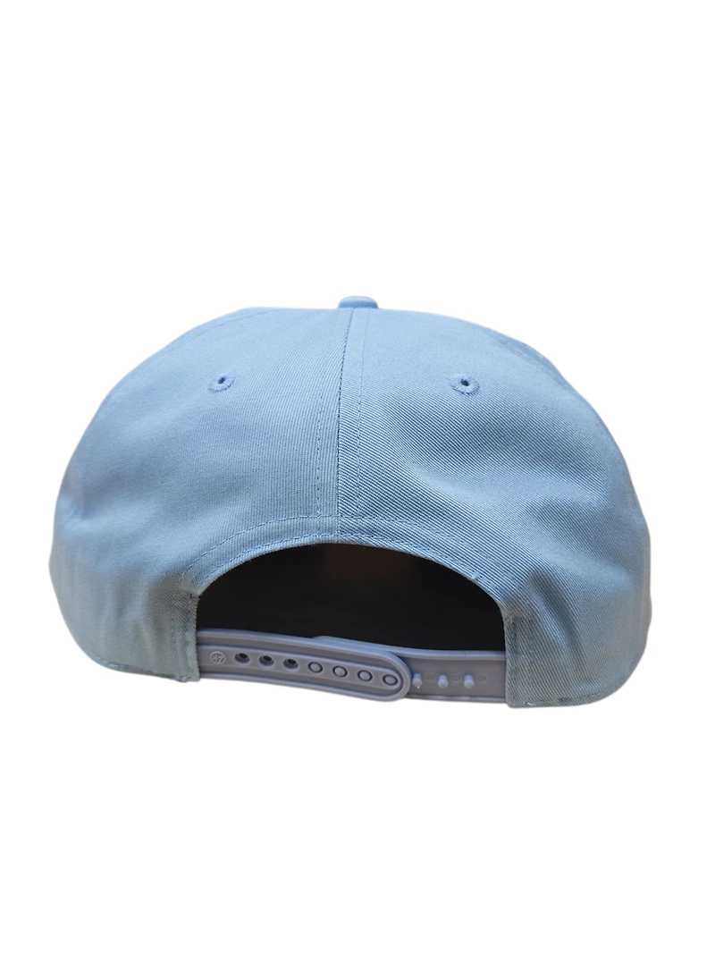 MLB Hat Hitch Powder Expos