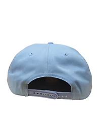 MLB Hat Hitch Powder Expos