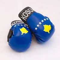Country Boxing Gloves Set Kosovo