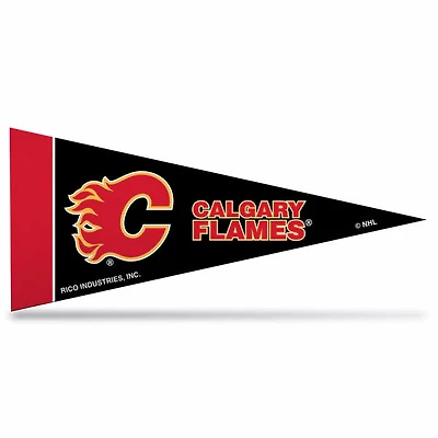 NHL Mini Pennant Flames