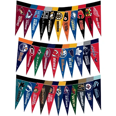 NHL Mini Pennant Set Complete League
