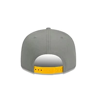 NFL Hat 950 Snapback Stone Gray Steelers