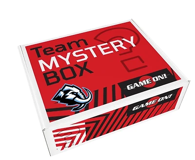 NHL Mystery Box  Utah Mammoth