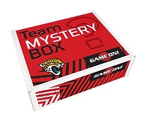 NFL Mystery Box Jacksonville Jaguars
