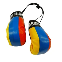 Country Boxing Gloves Set Armenia