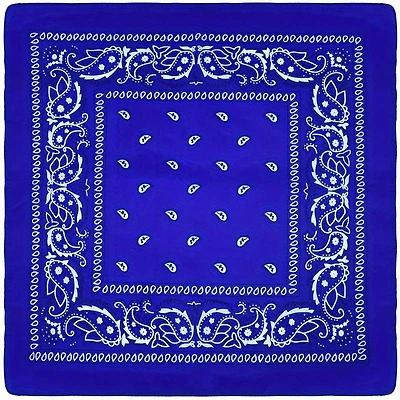 Paisley Bandana (Blue)