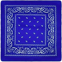 Paisley Bandana (Blue)