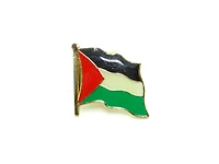 Country Lapel Pin Flag Palestine