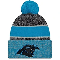NFL Knit Hat 2023 Sport Blue Panthers