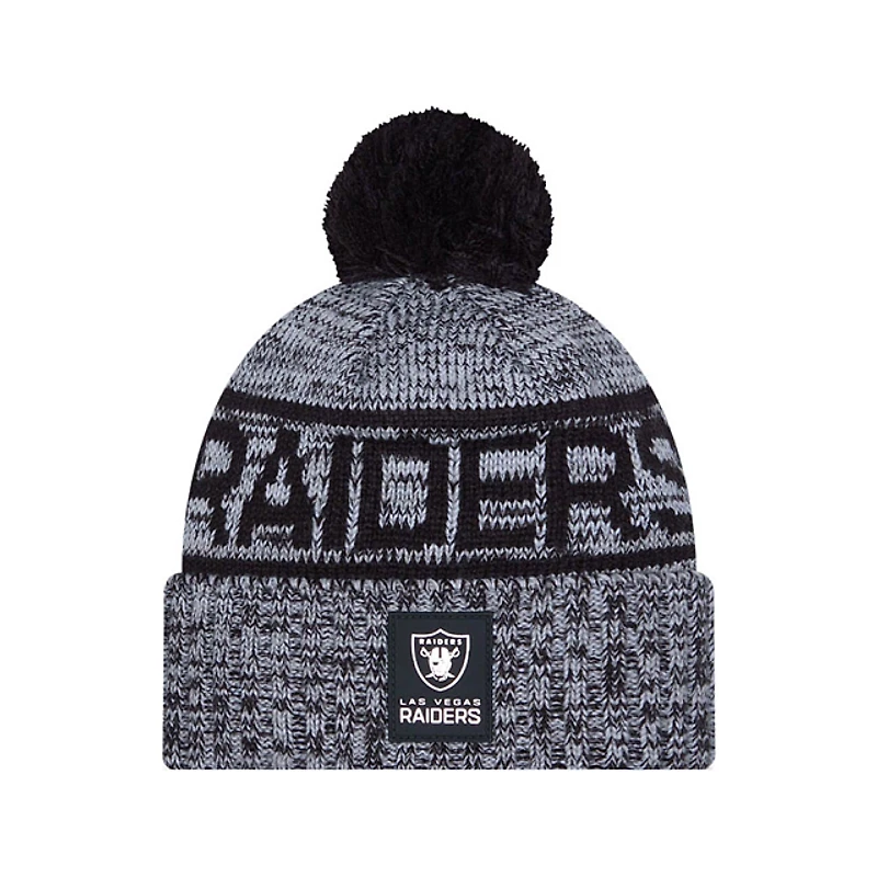 NFL Knit Hat Sideline 2025 Color Wave Raiders