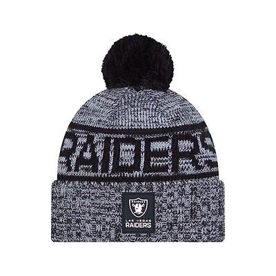 NFL Knit Hat Sideline 2025 Color Wave Raiders