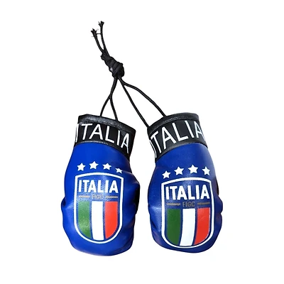 Country Boxing Gloves Set Italy ( w/Club