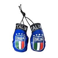 Country Boxing Gloves Set Italy ( w/Club