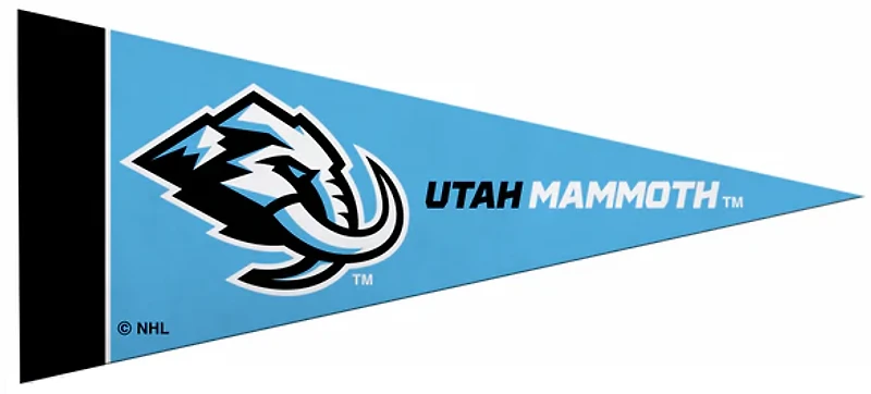 NHL Mini Pennant Mammoth